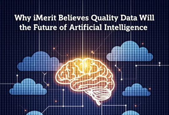 Experts from iMerit curating high-quality annotated data for AI model training