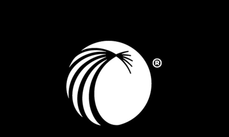 Journalist reviewing article flagged by Law360 AI bias detector tool in newsroom setting