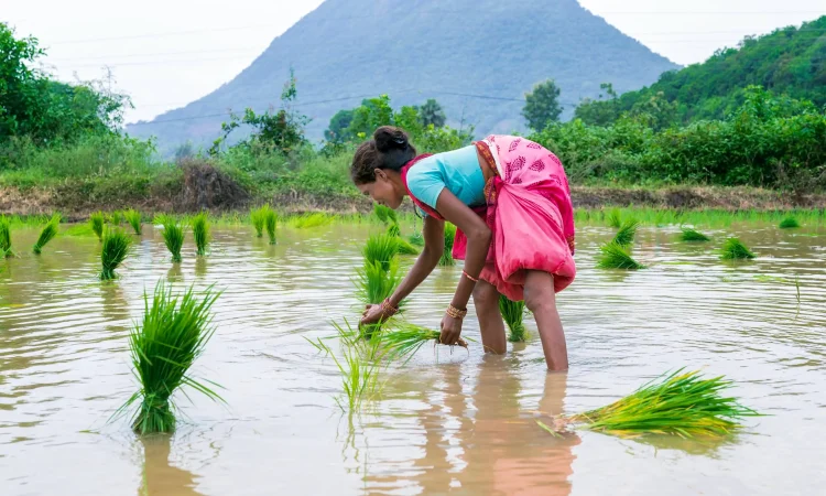 Orchard Robotics AI camera system mounted on a tractor analyzing apple orchards after raising $22M funding
