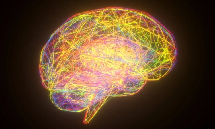 OpenAI, robotics, AGI, humanoid robots, AI development, artificial intelligence, AI algorithms, embodied AI, robot technology