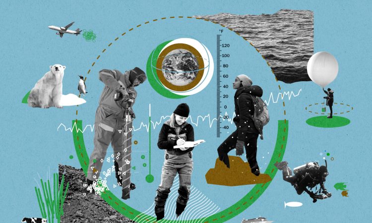 Global climate change and sustainability initiatives shaping the environment